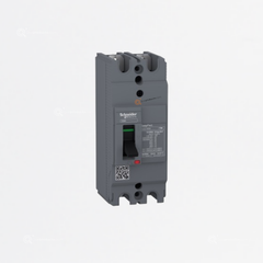 Interruptor termomagnético EasyPact EZC, 2P, 100A TMD, Ref EZC100H2100, Marca Schneider (Bajo Pedido)