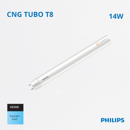 LED Tubo 1E T8 1200mm, 14W, 6500K, 1600 lm, Ref 929004601912, Marca Philips (En Stock)
