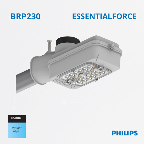 LED Alumbrado EssentialForce BRP230 65W, 6500K, 9000 lm, IP66, Ref 919306038051, Marca Philips (Bajo Pedido)