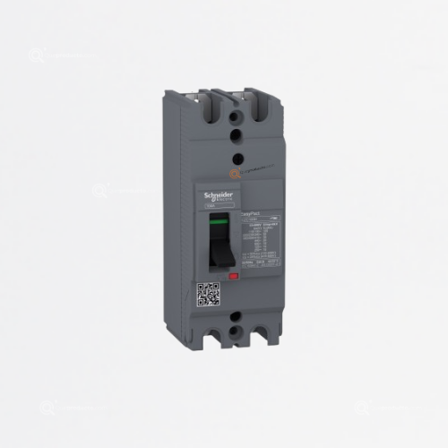 Interruptor termomagnético EasyPact EZC, 2P, 100A TMD, Ref EZC100H2100, Marca Schneider (Bajo Pedido)