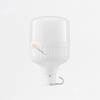 LED High Power 60W  Emer USB, 6500K, 600 lm, IP20, 180G, 5V, Ref 7023894, Ledvance-Osram (O)