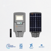 LED Lum Alumbrado Pub. Solar RW250, 110G, 6500K, 2000 lm, IP65, Ref RW250, Marca Royal Lighting (S)